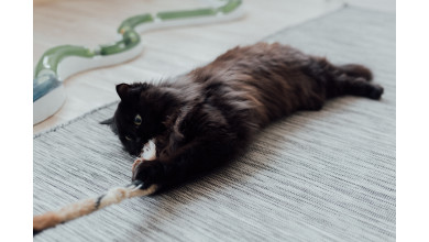 Homemade cat toys from recycled material