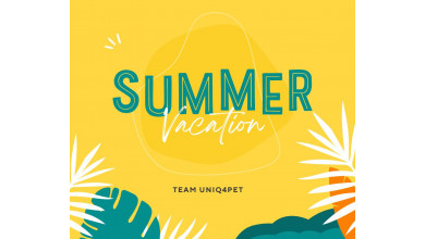 Summer vacation