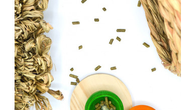 A Beginner’s Guide to Scatter Feeding