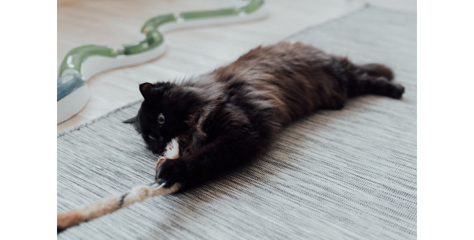 Homemade cat toys from recycled material