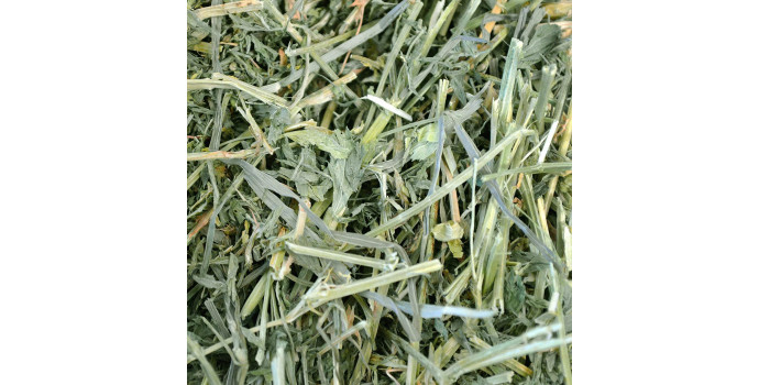 All About Alfalfa