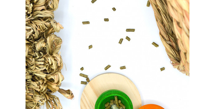 A Beginner’s Guide to Scatter Feeding