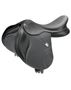 Saddles and accessories