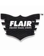 FLAIR Nasal Strips