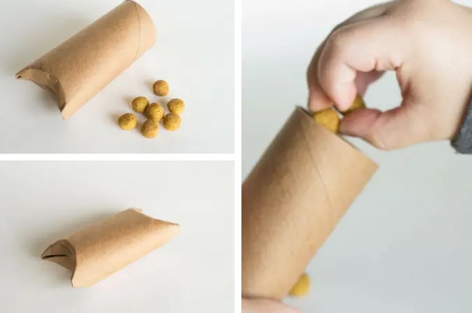 An innovative roll with treats as an interactive toy