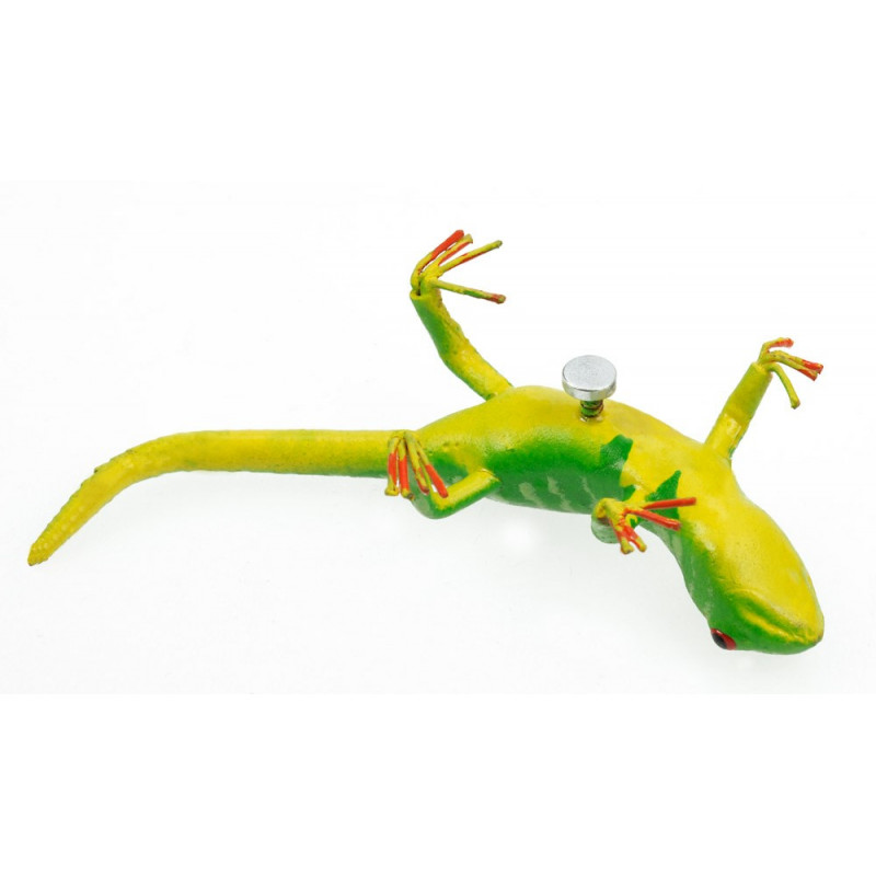 Magnet "Gecko", in Cricket Box