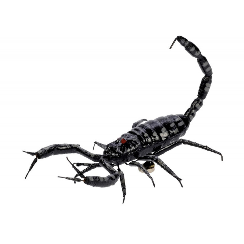 Magnet "Scorpion", in Cricket Box