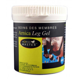 HORSE MASTER ARNICA GEL