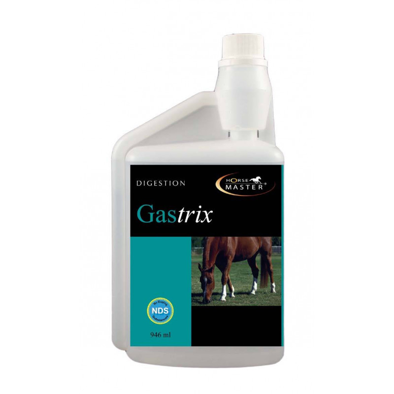 HORSE MASTER GASTRIX