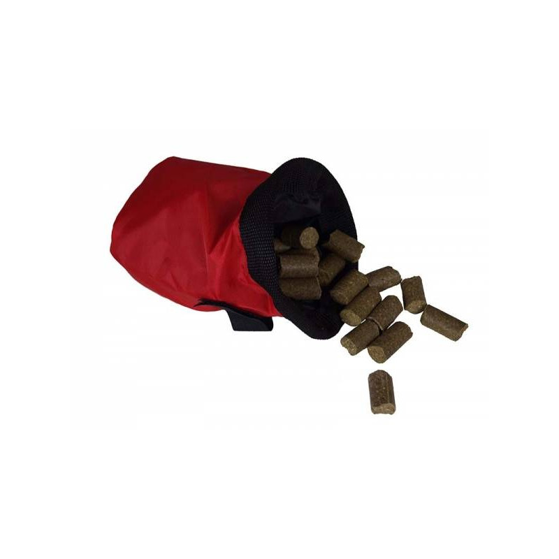 Treat bag