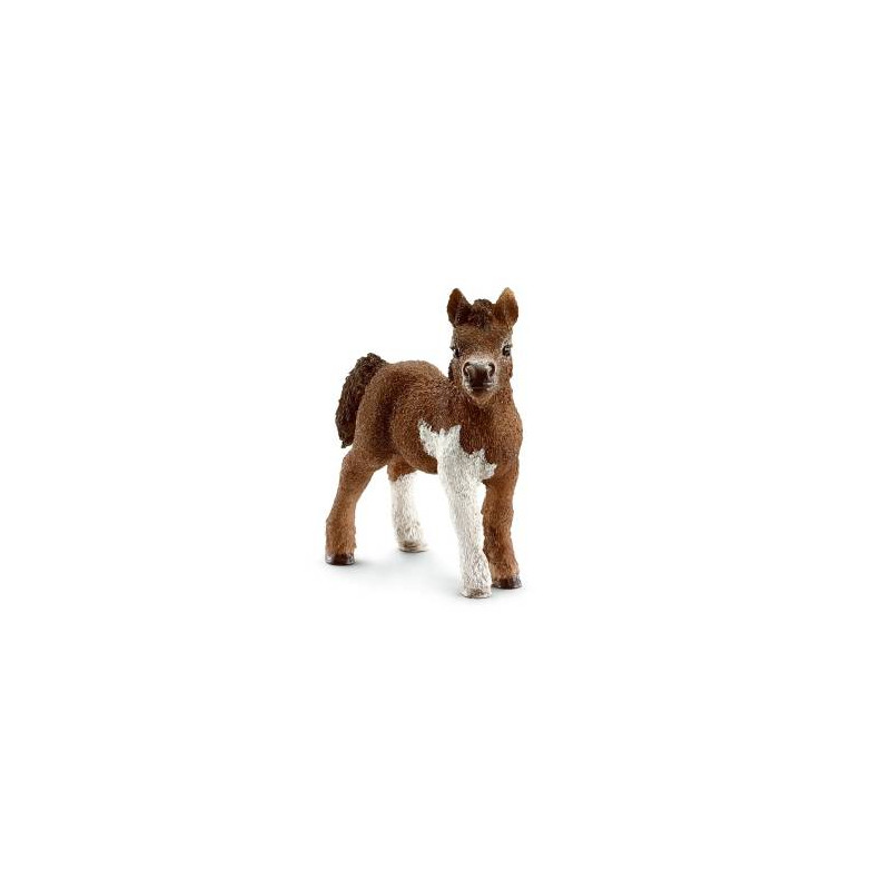 Schleich Shetland Pony foal