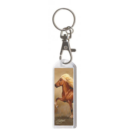 Key Chain with Carabine "Exclusive Pferdemotive" Shetty Rapport Dirk