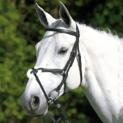 Wembley X-Line Bridle Santa Cruz