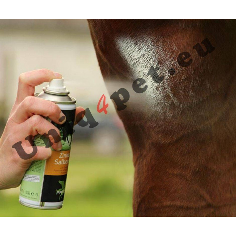 Parisol Silver Spray, 200 ml