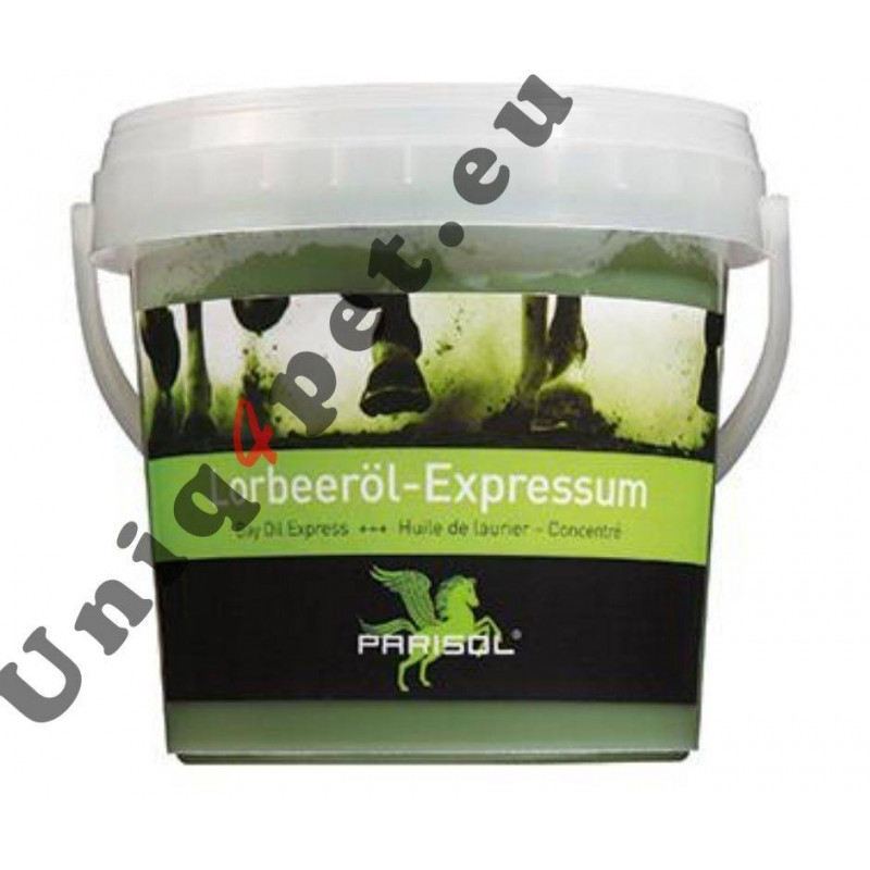 Parisol Bay Oil Express Parisol Bay Oil Express