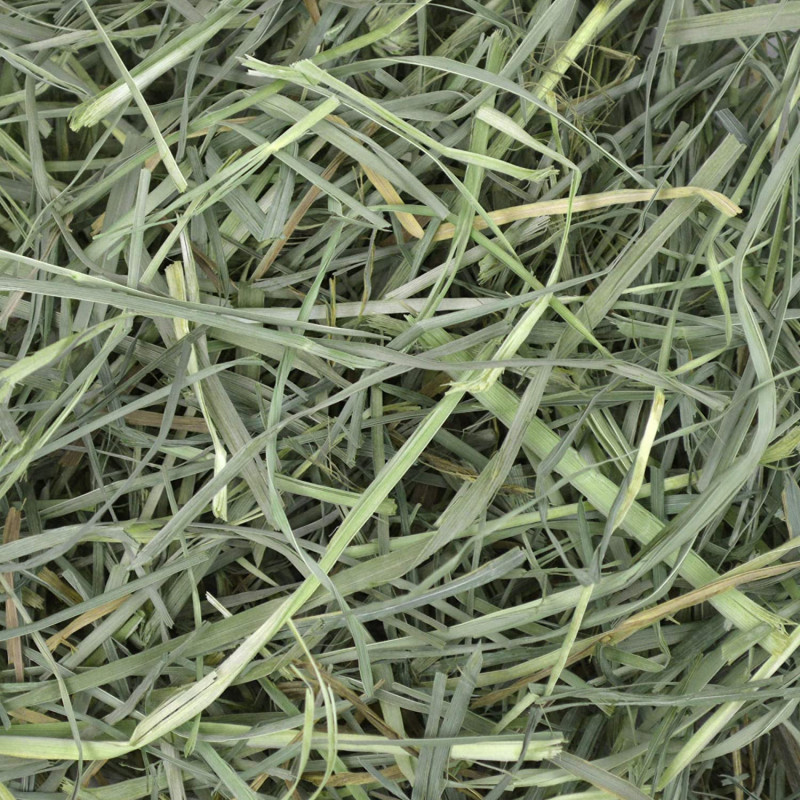 Oxbow orchard grass seno iz zelene trave  1,130 kg