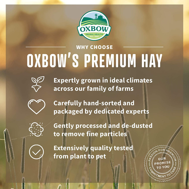 Oxbow orchard grass seno iz zelene trave  1,130 kg
