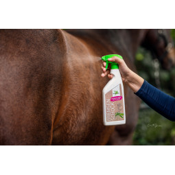 Parisol Horse Fly Shock