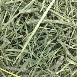 Oxbow Western Timothy hay 2,55 kg