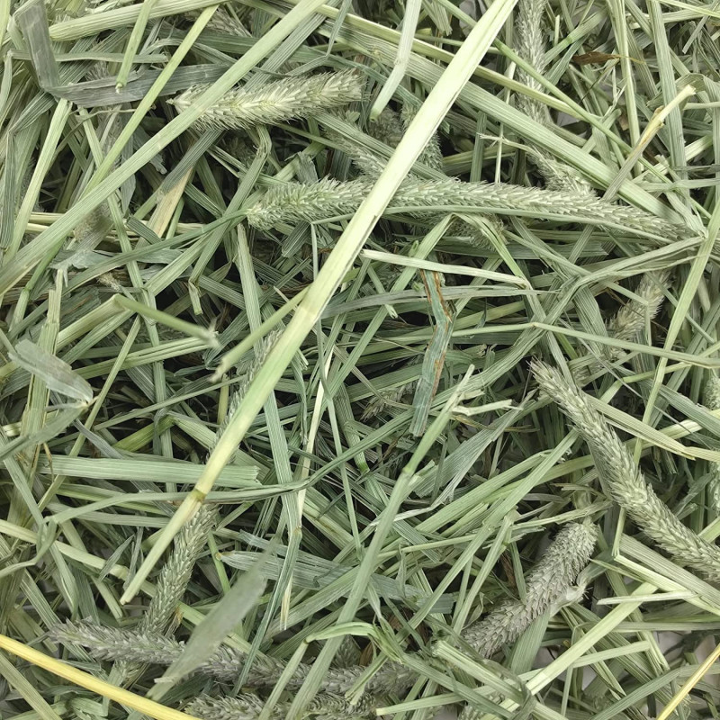 Oxbow Western Timothy hay 2,55 kg